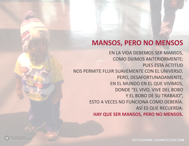 Mansos, pero no mensos Abril 10 de 2009